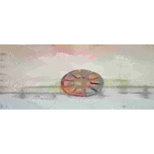 Diamond Abrasive, 10 Segment Metal Puck, 30 Grit/Hard Floor