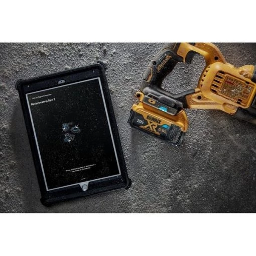 20.0V Li-Ion Battery, 5.0Ah Capacity (2 Pack)