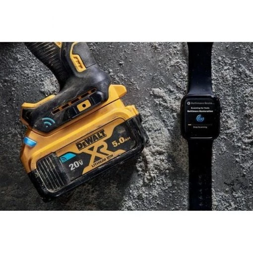 20.0V Li-Ion Battery, 5.0Ah Capacity (2 Pack)