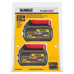 20V DC/60V DC/120V DCV Li-Ion Battery, 6Ah Capacity (2 Pack)