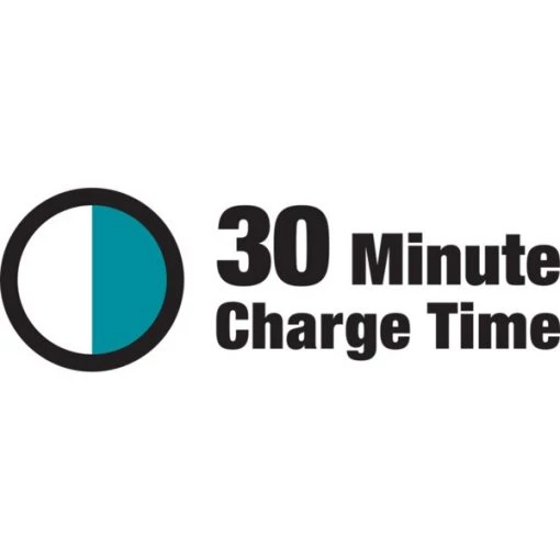 18V LXT® 3.0Ah Battery, 10/pk