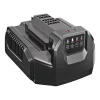 Ego Battery Charger, Li-Ion, 120V