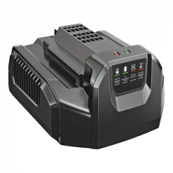 Ego Battery Charger, Li-Ion, 120V