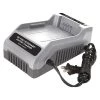 Snow Joe Battery Charger For Li-Ion 40V