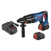 Bosch Bulldog(TM) 1 In. Rotary Hammer 18V